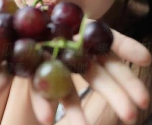 想追热瓜？来51吃瓜网在线观看，在线实时更新不掉队