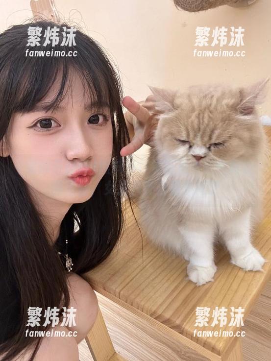 黑料不打烊万里长征全网资源汇聚，女生八卦信息不间断