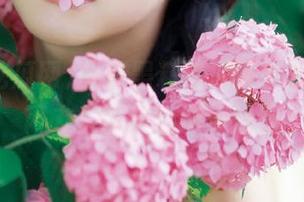 免费黑料吃瓜网页加载慢，网友们纷纷吐槽不想用