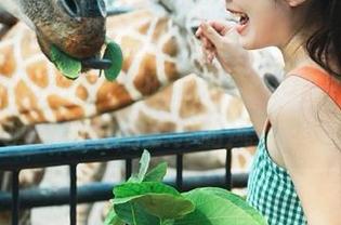 揭开真相的“黑料网app”，点击网址感受吃瓜界的风云变幻！